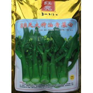 江门农友种苗 红亮80天大种油青菜心种子 优质迟熟菜心 叶片椭圆形 亩产可达2000公斤 菜心种子 500克装