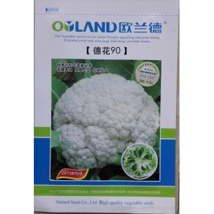 欧兰德 德花90松花菜种子 花梗翠绿 口感柔嫩甜脆 品种上佳 花球松大 松花菜种子 8克装