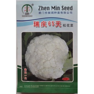 厦门振闽 瑞庆65天松花菜种子 早中熟 抗病性强 65天可采收 松花菜种子 10克装