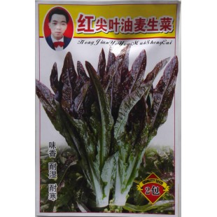 广西强坤 红尖叶油麦生菜种子 红色尖叶油麦菜种子 生菜种子 10克
