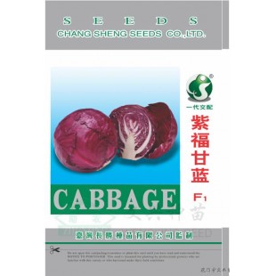 台湾长胜 紫福紫甘蓝种子 早中生 耐热耐湿 定植后70-80天可采收 甘蓝种子 10克装