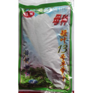 广州兴田 短叶13号早萝卜种子 母种 火车杂优品种 比传统品种早熟，叶片短小 萝卜种子 500克