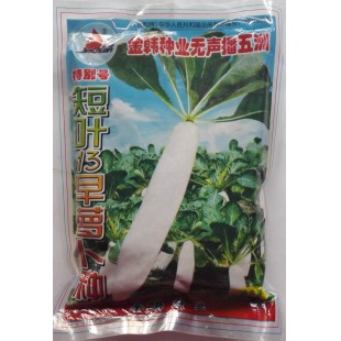 汕头金韩 短叶13号早萝卜种子 金韩种业无声播四洲 叶片直立 疏短 无茸毛 叶似汤匙形 萝卜种子 250克