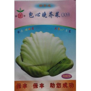 广西强坤 保丰包心晚芥菜种子 抗病 耐抽苔 大蕾产量高 芥菜种子 10克装