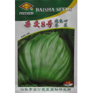 汕头白沙杂交8号晚包心芥菜种子 中迟熟 耐抽苔 抗病 包心芥菜种子 10克装