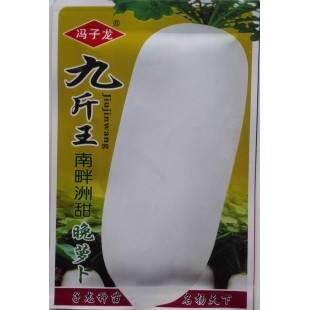 广西冯子龙 九斤王南畔洲甜晚萝卜种子 中晚熟 食味佳 纤维少 萝卜种子 40克装
