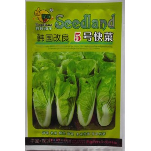 深圳喜良 韩国改良5号快菜种子 生长速度快 抗病力强 快菜种子 30克装