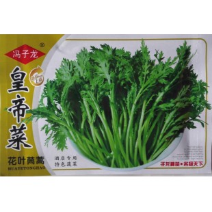 广西冯子龙 皇帝菜花叶茼蒿种子 鲜嫩清香 品质优 茼蒿种子 20克装