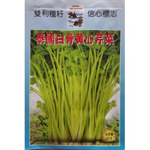 蔡荣成 泰国白骨黄心芹菜种子 抗热耐寒 抗病抗逆 黄心芹菜种子20克装