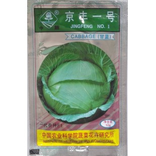 北京中蔬 京丰一号甘蓝种子 中国农科院选育 获国家发明一等奖 甘蓝种子 10克装