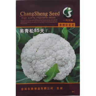 台湾长胜 美青松85天F1青梗松花菜种子 中晚熟 青梗松花 花型美观 品质超群 市场流行 松花菜种子 10克装