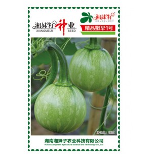 湖南湘妹子 精品嫩早一号南瓜种子 早熟 肉厚 耐寒 南瓜种子 10克装