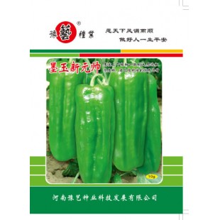 河南豫艺 墨玉新元帅泡椒种子 早熟 薄皮泡椒 果实上下粗细一致 泡椒种子 10克装