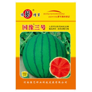河南豫艺 国豫三号西瓜种子 早熟 春大棚专用大果京欣西瓜 瓜个大 条带特别清晰美观 西瓜种子 300粒装
