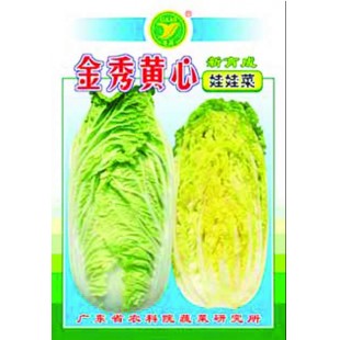 广东粤蔬 金秀黄心娃娃菜种子 广东农科院选育 定植后60天采收 球重1公斤左右 娃娃菜种子 15克