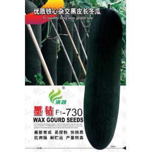 清远清蔬 墨钻730铁心杂交黑皮冬瓜种子  果实炮弹形 瓜型较长 单瓜可达30kg 冬瓜种子 2017年畅销品种 15克装