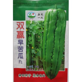 广州阳兴 双赢早苦瓜种子  极早熟 耐寒 产量高 种子 苦瓜20克装