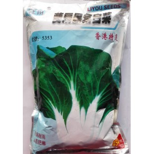 广州兴田 葵扇黑叶白菜种子 香港特选 播种后35天可采收 抗病耐雨 白菜种子 454克装