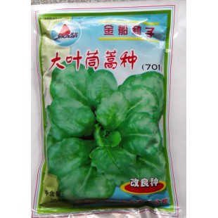 汕头金船 大叶茼蒿种子 叶面大 耐寒 播种后约40天可上市 茼蒿种子 250克装