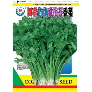 揭阳农友 四季抗热耐抽苔香菜种子 国外引进 四季可播种 抗病力强  香菜种子 20克装