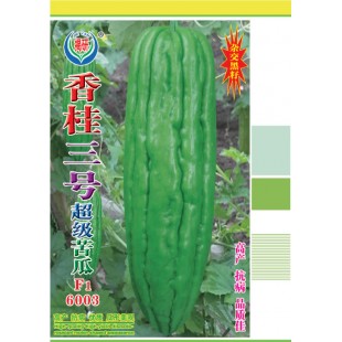 揭阳农友 揭研香桂三号超级苦瓜种子  早中熟 瓜长30厘米左右 耐热耐寒 苦瓜种子 10克装