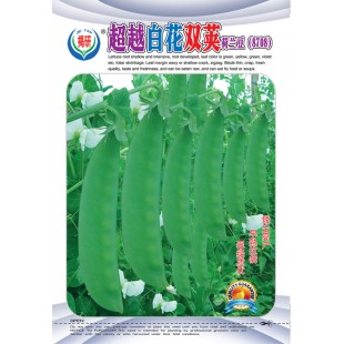揭阳农友 揭研超越白花双荚荷兰豆种子 早熟 抗病能力强 荷兰豆种子 400克装