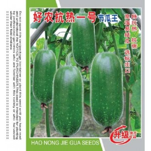清远兴华 澳利塔好农抗热一号节瓜王种子 早中熟 病耐热 瓜长16厘米左右 节瓜种子 30克装