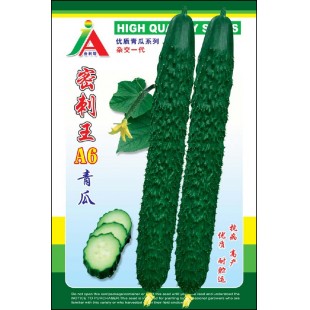 清远清蔬 密刺王A6青瓜种子 早中熟 抗病力强 瓜把短 瘤小刺密 青瓜种子 10克装