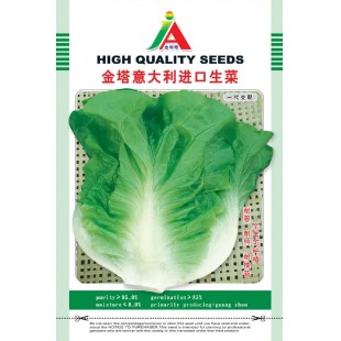 清远兴华 金塔意大利进口生菜种子 可全年种植 产量高 品质好 生菜种子 20克装