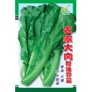 清远清蔬 农家大肉甜油芥菜种子 叶片肥绿 够油 大棵 芥菜种子 10克装