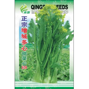 清远清蔬 正宗增城多心甜菜心种子 增城专业菜场选育 味道甜美爽脆  菜心种子 500克装