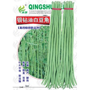 清远兴华 银钻油白豆角种子 早中熟 不易鼠尾 适合豆角基地种植 种子 200克装