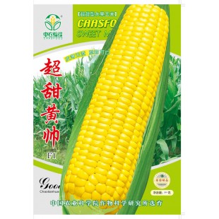 中国农科院 超甜黄帅超甜型水果玉米种子 早熟 皮薄无渣 脆甜可口 玉米种子 250克装