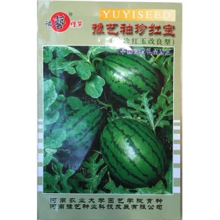 河南豫艺 袖珍红宝西瓜种子 外观艳丽 口感均极佳 果皮薄 西瓜种子 200粒装