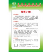 中国农科院 青螺618青皮椒种子 极早熟 抗病性强 耐热耐寒 易坐果 青皮椒种子 1000粒装
