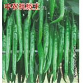 中国农科院 中农杭椒王辣椒种子 植株生长势强 果型特长 产量超高 辣椒种子 10克装