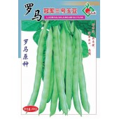 连州丰裕 罗马冠军三号玉豆种子 适应出口 内销耐老化 品质优 玉豆种子 400克装