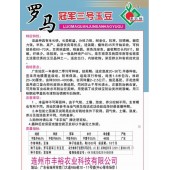 连州丰裕 罗马冠军三号玉豆种子 适应出口 内销耐老化 品质优 玉豆种子 400克装