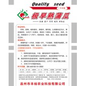 连州丰裕 极早熟蒲瓜种子 早熟 耐寒 植株蔓生 果实猪胆形 蒲瓜种子 10克装