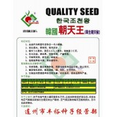 连州丰裕 韩国朝天王辣椒种子 生长旺盛 易座果 抗病性强 产量特高 辣椒种子 5克装