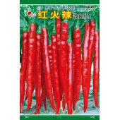 连州丰裕 红火辣辣椒种子 小叶 果硬 高产 青红两用 红辣椒种子 5克装