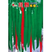 连州丰裕 绿野辣椒种子 椒形长顺直 肉厚 空腔小...