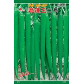 连州丰裕 粤辣王二号线椒种子 早熟 长粗 抗病高产 辣椒种子 5克装