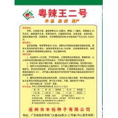 连州丰裕 粤辣王二号线椒种子 早熟 长粗 抗病高产 辣椒种子 5克装