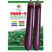 连州丰裕 丰裕先锋一号紫红长茄种子 抗病高产 果形美观 高温不变色商品性优 后期不易变短 茄子种子 5克装