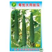 广东粤蔬 粤优大肉丝瓜种子 广东农科院选育 早熟耐热耐湿 亩产3000公斤 丝瓜种子 20克装