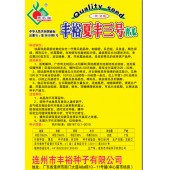 连州丰裕 夏丰三号青瓜种子 抗病性强 商品性好 爽脆味美 青瓜种子 20克装