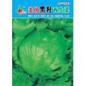 连州丰裕 美国黑籽西生菜种子 生长速度快 适应性广 生菜种子 2克装