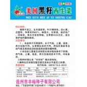 连州丰裕 美国黑籽西生菜种子 生长速度快 适应性广 生菜种子 2克装