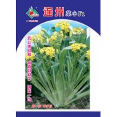 连州丰裕 连州菜心种子 无公害品种 味道好 稍耐热 较耐寒 连续收侧菜苔 主菜苔粗大 淡绿色 菜心种子 2克装
